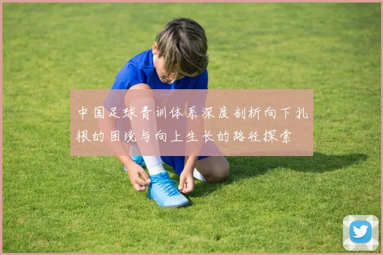 中国足球青训体系深度剖析向下扎根的困境与向上生长的路径探索